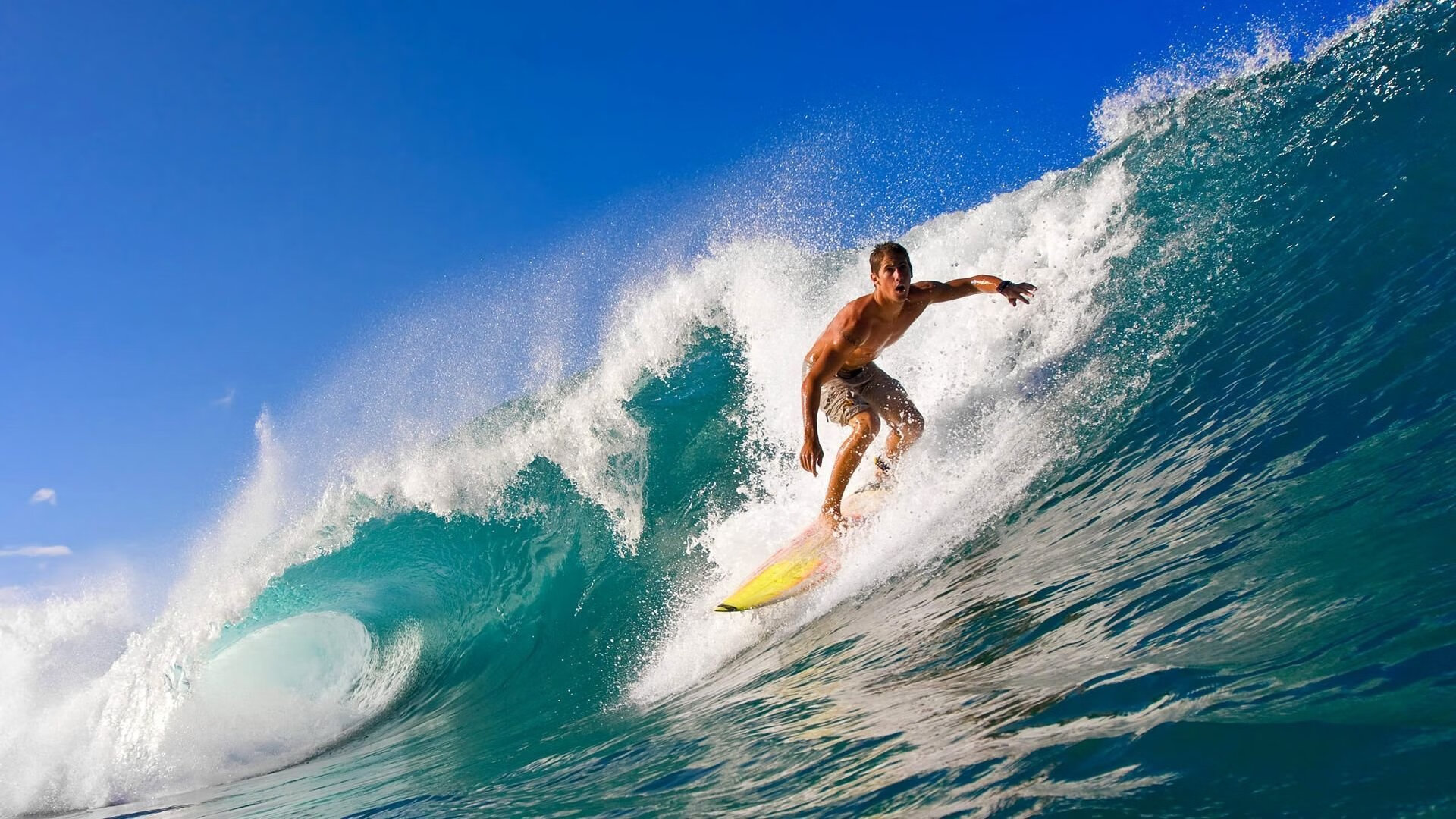 2026年世界桥牌锦标赛参赛国创历史新高